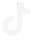 TikTok Logo